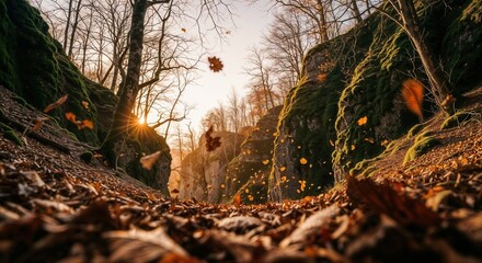 Autumn leaves falling in a serene forest canyon at sunset  wallpaper for interior design