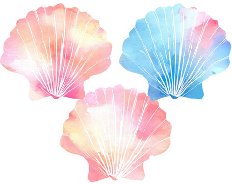 Three watercolor seashells in pastel colors
