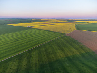 Aerial view of expansive cultivated agricultural fields in Timiș, Romania at sunset. The landscape features large patches of vivid green and yellow fields, divided by dirt paths