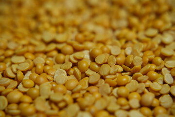 close up of a pile of corn seeds