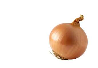 A single, perfectly round, unpeeled brown onion with dry roots and an intact stem, displaying natural textures against a transparent background with copy space, clean food ingredient concept