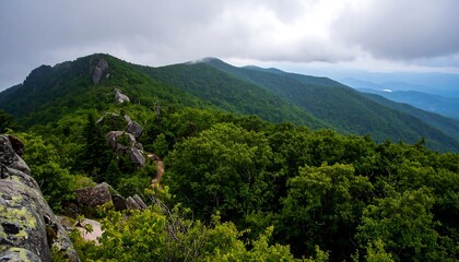 Winding Rocky Trail Along a Lush Appalachian Ridgeline Under a Moody Sky