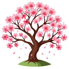 Fototapeta premium Cherry Blossom Tree