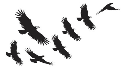 A flock of eagles in silhouette soaring across a white background