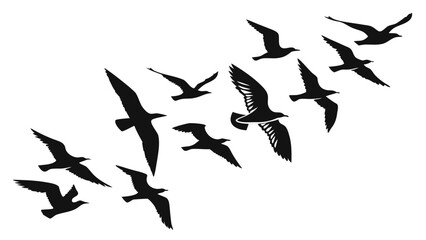 A flock of black seagulls in silhouette flying across a white background