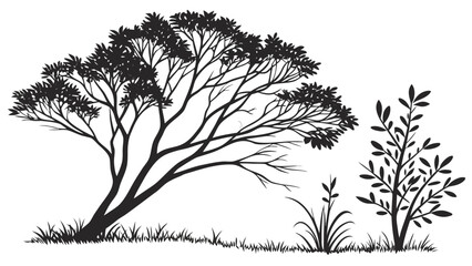 Obraz premium Silhouette of a large deciduous tree and smaller plants on a white background