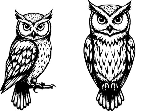 Detailed wise owl silhouette vector logo with striking eyes and sharp features symbolizing knowledge and observation
