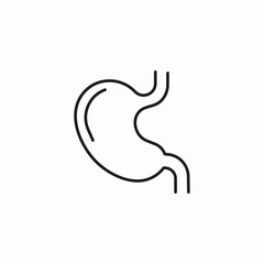 human stomach organ icon sign vector
