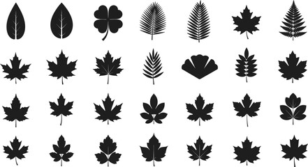 Set of 25 leaf silhouette icons in varied botanical styles for nature, seasonal, and eco designs