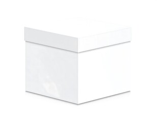Blank white gift box (1)