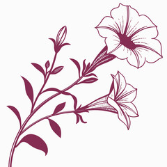 calibrachoa superbells pomegranate punch vector