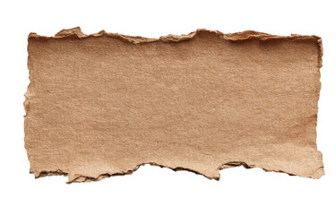 Rectangular piece of torn cardboard.  Beige colored, textured, and showing uneven edges