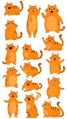 Fototapeta premium Cute orange tabby cats in various poses