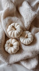 Naklejka premium White pumpkins arranged on a cozy knitted blanket in autumn setting