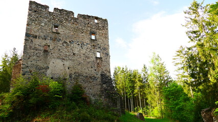 Fototapeta premium Ruine Ziegersberg, Bucklige Welt in Niederösterreich