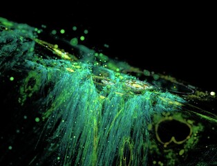 Imaginatory fractal abstract background Image