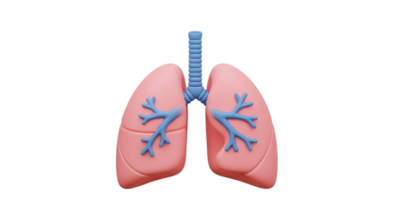 3D Lungs Icon in Soft Pastel Style