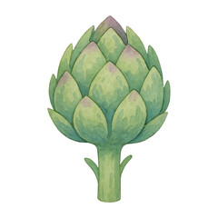 Fototapeta premium PNG Watercolor artichoke illustration vibrant