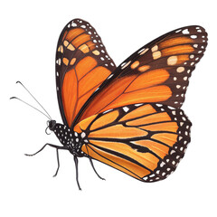 Monarch Butterfly in Flight, Isolated on Transparent Background, High-Resolution Image, Insect, Nature, Butterfly, Wings, Lepidoptera