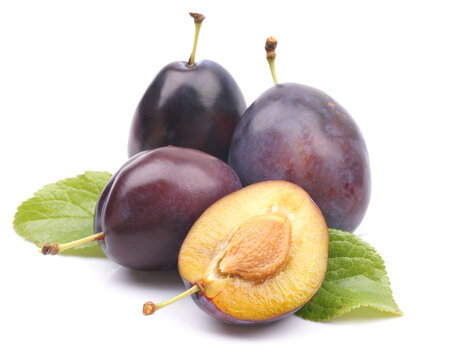 Frische Pflaumen