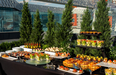 Elegant outdoor buffet setup with trees