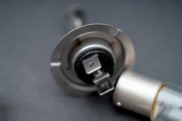 Close-up of a halogen light bulb base showing intricate details of the connector in a studio setting