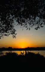A picturesque natural phenomenon where the setting sun creates a vibrant sky, whose colours reflect on the calm, mirror-like surface of the water, often enhanced by silhouetted trees on the horizon.