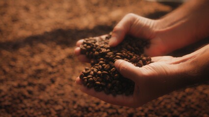 Hands gently holding freshly roasted coffee beans. Lifting handful and letting beans slowly fall...
