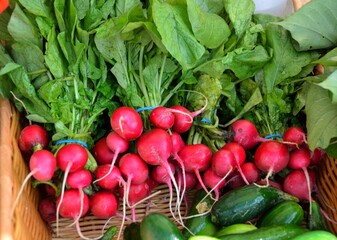 Fresh radishes and cucumbers at farmers market
