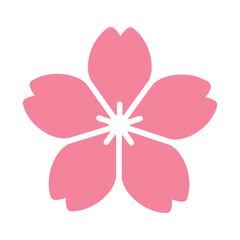 A delicate pink sakura flower, a symbol of spring, beauty, and japanese culture, ideal for designs and decorations