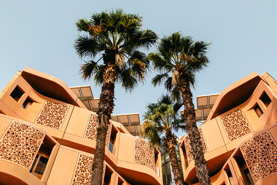 The Masdar Institute of Science and Technology exterior with palm trees on the foreground