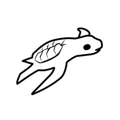 turtle outline sketch