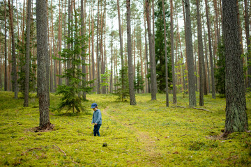 Fototapeta premium Young boy explores a lush forest in casual clothes, immersed in the simple wonders of nature and the freedom of the outdoors.