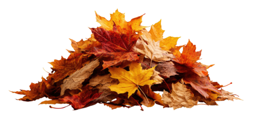 Pile of autumn leaves in warm colors