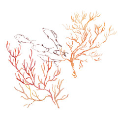 Watercolor ocean coral composition of red branches and fish. Underwater plant illustration isolated on white background. For design, prints, fabric or background.