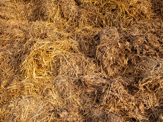 Pile of Hay and Manure in a Barn During the Late Afternoon