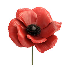 3D Icon of poppy flower PNG
