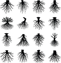 A collection of sixteen different tree root silhouettes in a grid pattern on a white background