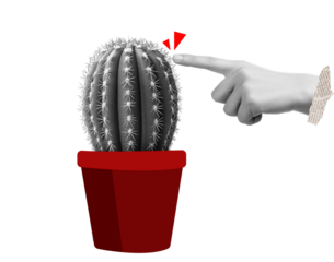 Contemporary art collage. Colorful design with male hand reaching cactus. Desert investigation. Concept of creativity, surrealism, retro style, imagination, vacation. Poster, ad