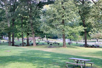 Serene Park Setting With Lush Greenery and Picnic Tables in a Tranquil Outdoor Environment