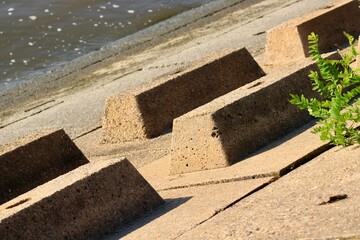 Unique Coastal Structures Along the Shoreline With Natural Vegetation in Focus, Showcasing Beautiful Textures and Patterns Near the Water's Edge in Bright Daylight