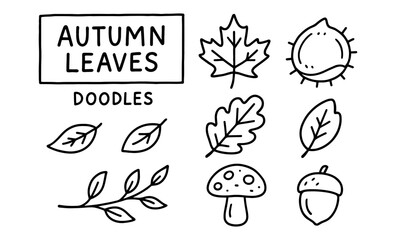 Whimsical autumn leaf and nature doodles in simple outline style