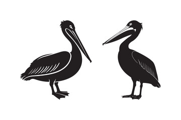 Two silhouette pelicans standing against a white background