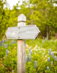 Wooden trail marker in wildflowers