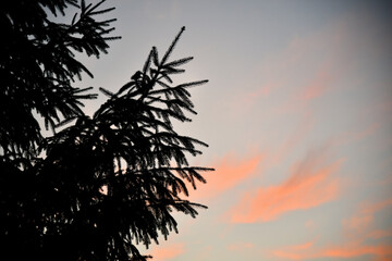 Smoke from forest fire at sunset in the Appalachian