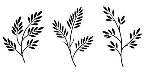 A set of three elegant, hand-drawn style leafy branch silhouettes. This minimalist and natural botanical graphic is ideal for creating decorative borders or logos. © VectorVibe