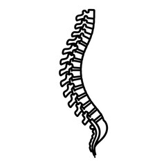 Spine Vector Icon Illustrating Physical Therapy Concepts  