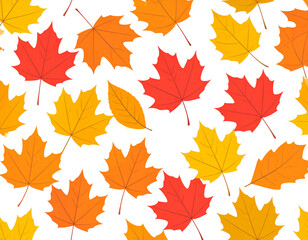 Fototapeta premium Colorful fall leaves seamless pattern for textile and wallpaper