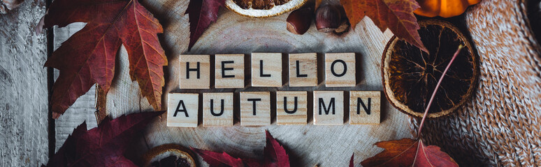 Hello autumn text on dark wooden background. Composition with bright autumn leaves, pumpkin, dry citrus, walnut. Cozy fall mood concept. Flat lay, close up, top view, macro banner © ArtSys