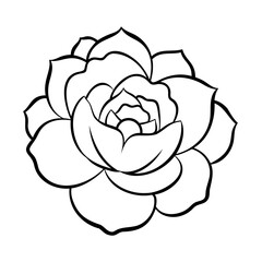 Vector Illustration Of Peony Flower